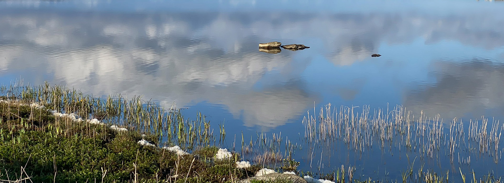 Harry Loch